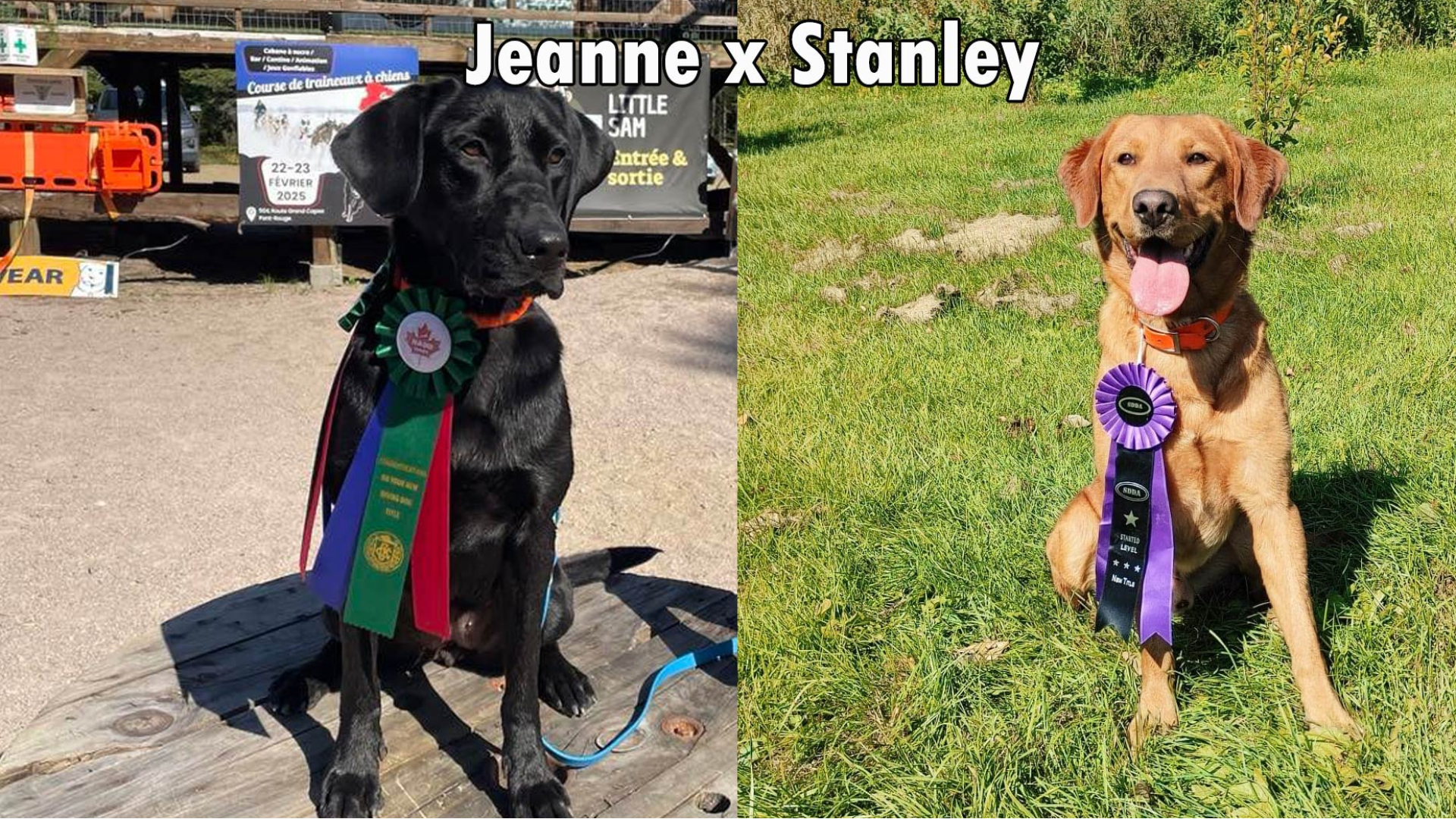 jeanne-stanley-2025-.png