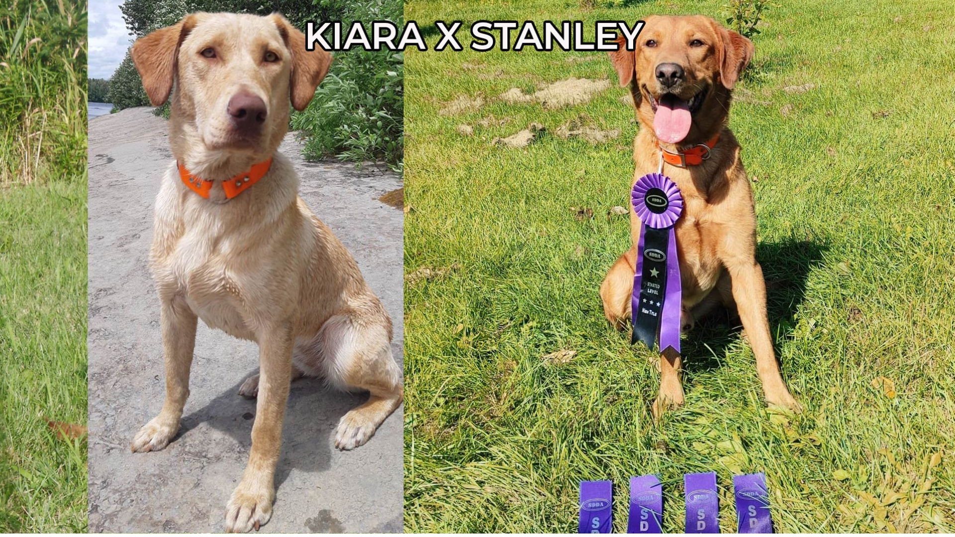 kira-x-stanley-juin-2023.png
