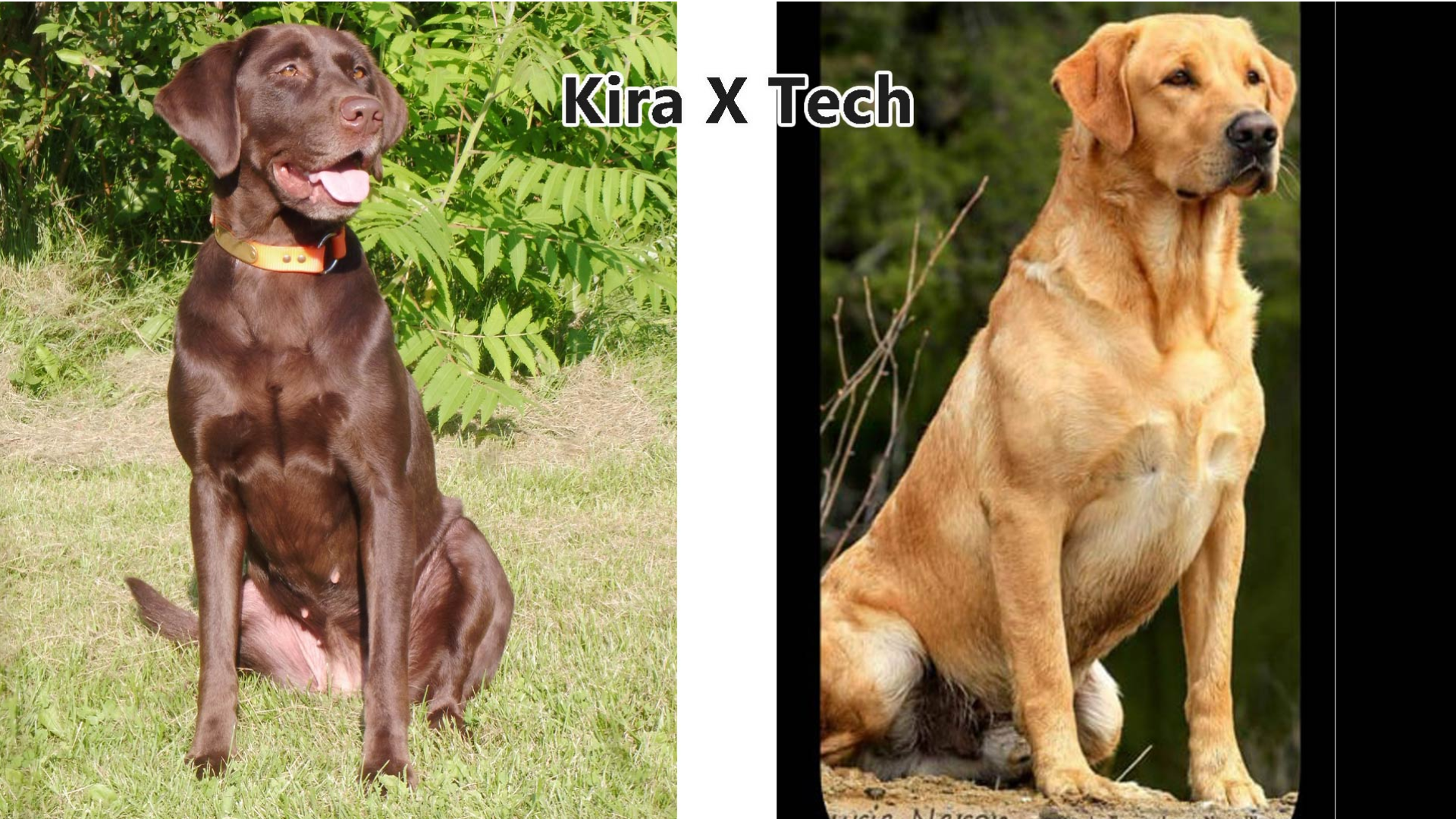 kira-tech-2022.png